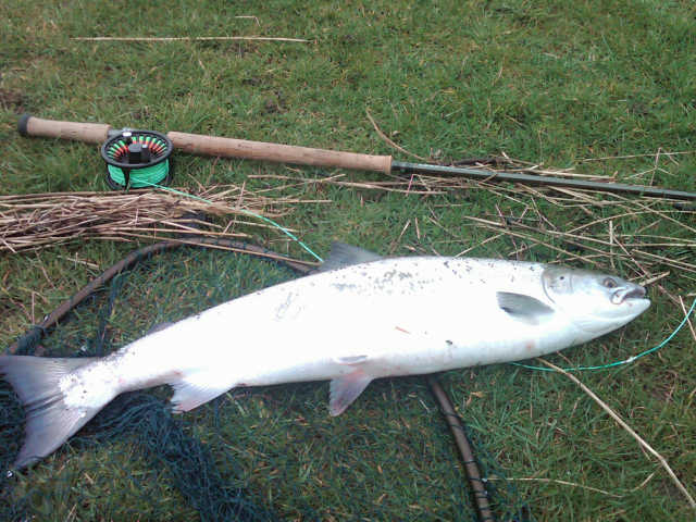Marnoch Lodge Spring Fish
