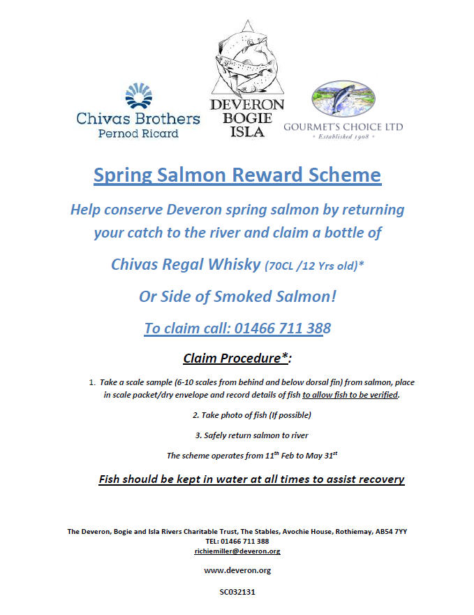 Spring Salmon Reward